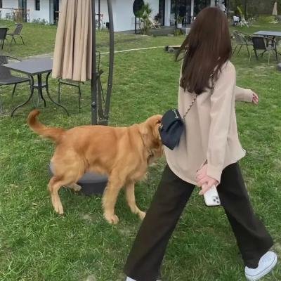 美女总裁爱上我